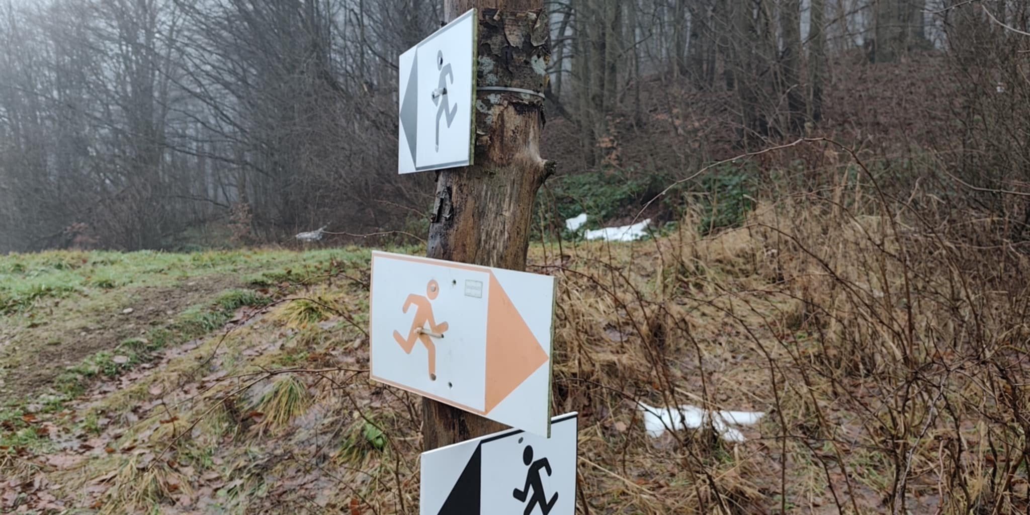 616006a4-db81-496a-9d6d-9655acaa5db5